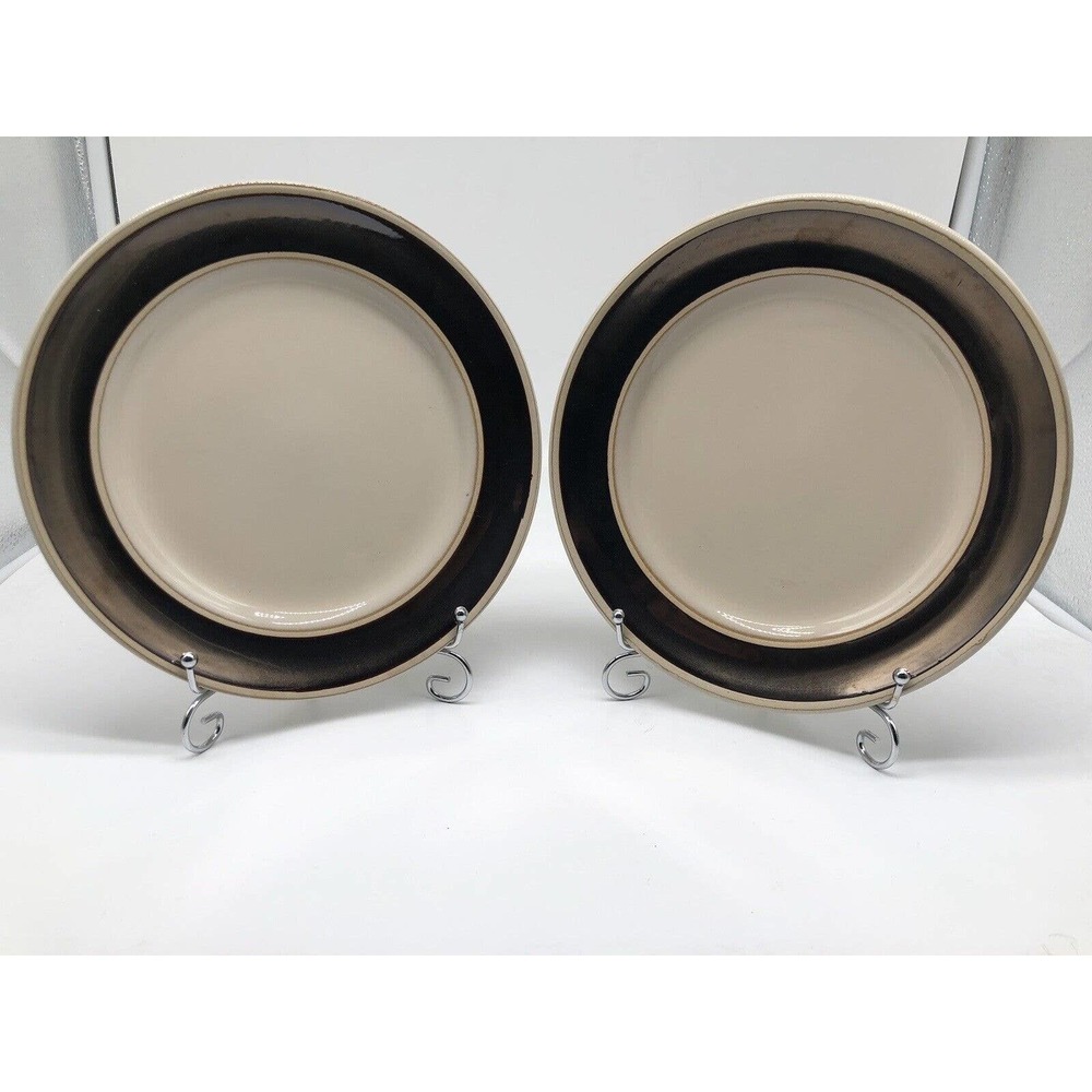Pier 1 Imports 8.5” Salad Plates “RION” ~Set of 2~ Cheese Apps REPLACEMENT A5